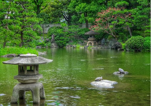 Budismo japonés y pensamiento ambiental