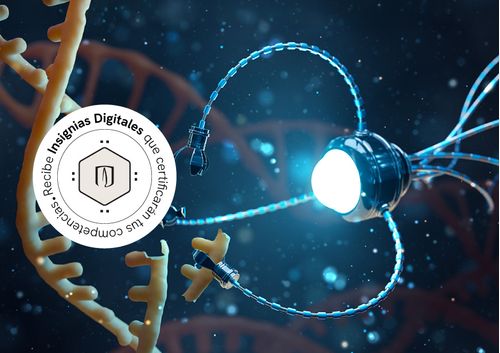 imagen e-commerce a0gPd000000weujIAA_Nanobiotecnologia-ciencias-medicas-principios-aplicaciones.jpg