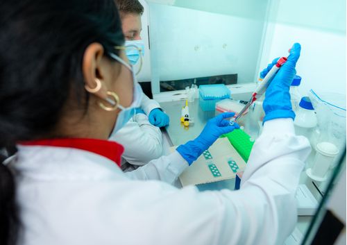 imagen e-commerce a0gPd0000011txxIAA_Biología Molecular Aplicada-Innovación en Edición Genética y Biotecnología.jpg