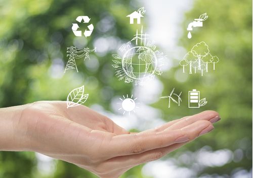 imagen e-commerce a0gPd0000011dUzIAI_Derecho de energías renovables.jpg