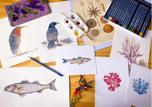 imagen e-commerce a0gPd0000015M2XIAU_Ecommerce_Ilustracion cientifica y naturalista.png