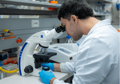imagen e-commerce a0gPd000001IOMfIAO_Microbiologia farmaceutica-cosmetica.png