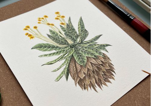 imagen e-commerce a0gPd0000015Mc1IAE_Ilustracion botanica y de hongos-acuarela.jpg