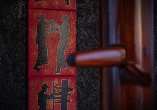 imagen e-commerce a0gPd000001IVeHIAW_Arte del Kung Fu Wing Tsjun (YONG CHUN) Defensa y Consciencia.JPG
