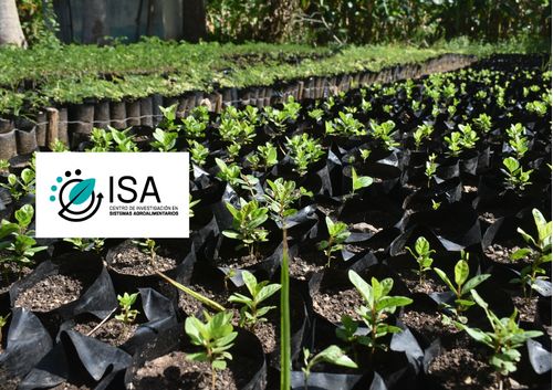 Agroecología y sistemas agroalimentarios sostenibles