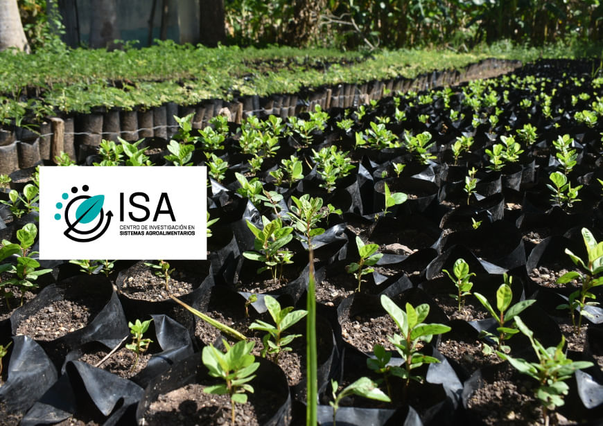 Agroecologia-sistemas agroalimentarios sostenibles.jpg