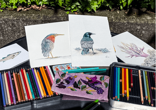 Ilustración de aves: lápices de color