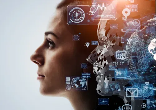 imagen e-commerce a0gPd000001ShHZIA0_Principios de Machine Learning UPC.webp