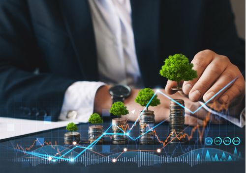 Innovacion Fintech: Transformando el Ecosistema Financiero