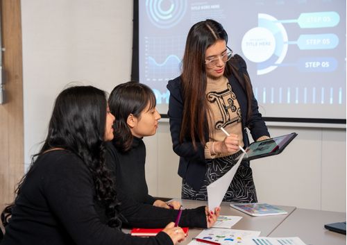 Retorno Social de la Inversion (SROI) para la toma de decisiones en proyectos