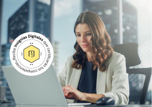 imagen e-commerce a0gPd000001YeKDIA0_Herramientas-gerenciales-gestion-publica.jpg