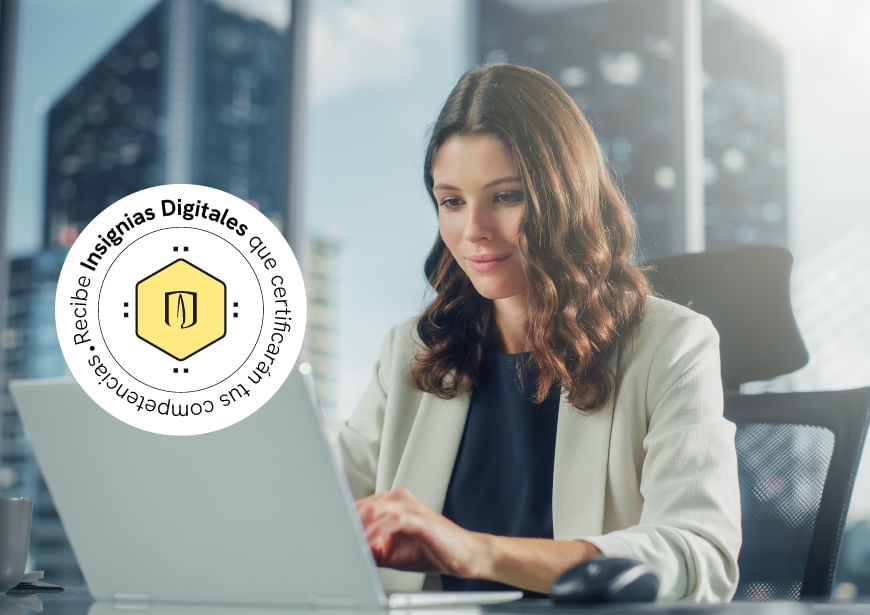 imagen e-commerce a0gPd000001YeKDIA0_Herramientas-gerenciales-gestion-publica.jpg