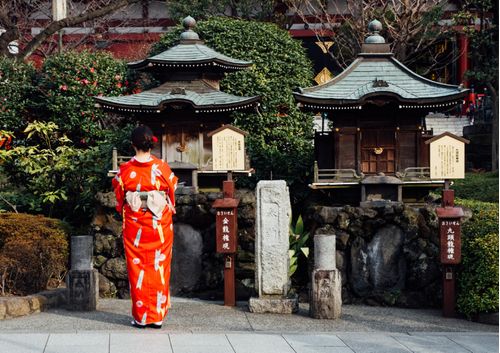imagen e-commerce a0gPd000001Ye68IAC_japones-2-uniandes.jpg