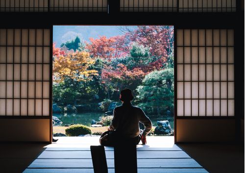 imagen e-commerce a0gPd000001Ye67IAC_japones-1-uniandes.jpg