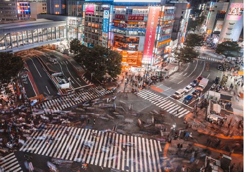imagen e-commerce a0gPd000001Ye6CIAS_japones-6-uniandes.jpg