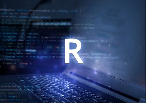 imagen e-commerce a0gPd000001ff53IAA_R-para-profesionales-analisis-datos-desde-cero.jpg
