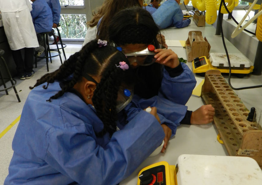 imagen-e-commerce-a0gPd000001hVJJIA2_Laboratorio-magico-ciencia-divertida-ninnos.jpg